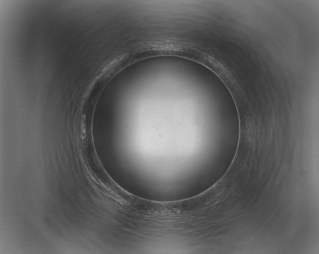 X0000082930731200702152147