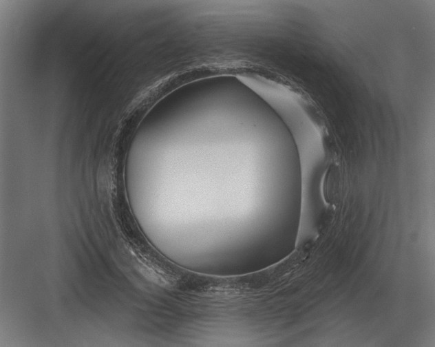 X0000082930732200702152147