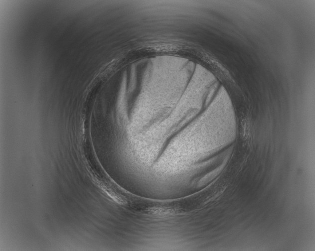 X0000082930733200702152147