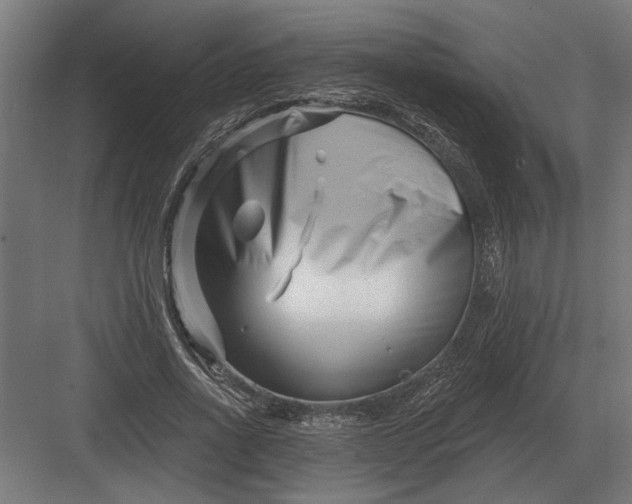 X0000082930734200702152147