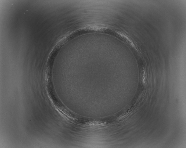 X0000082930736200702152147