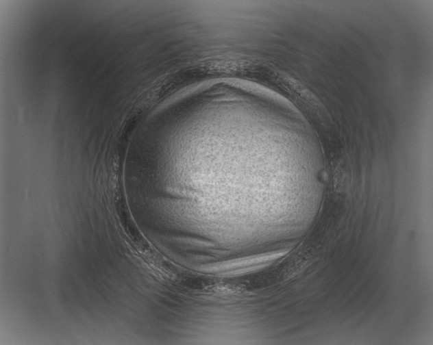 X0000082930737200702152147