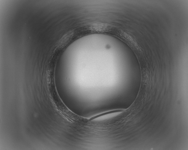 X0000082930738200702152147