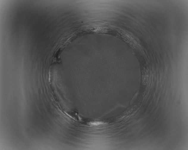 X0000082930748200702152147