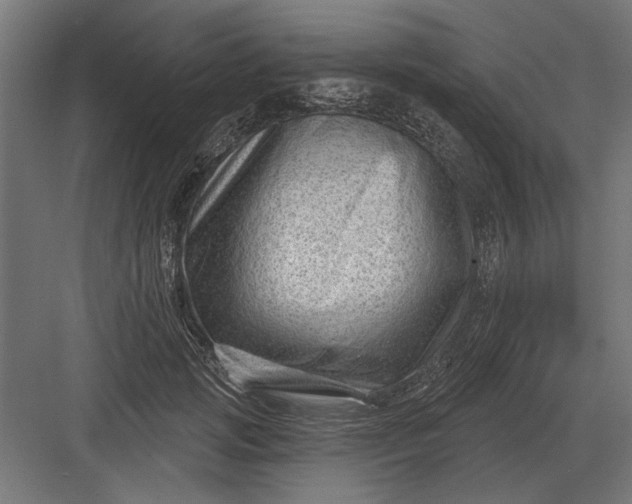 X0000082930749200702152147