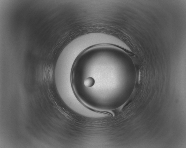 X0000082930750200702152147