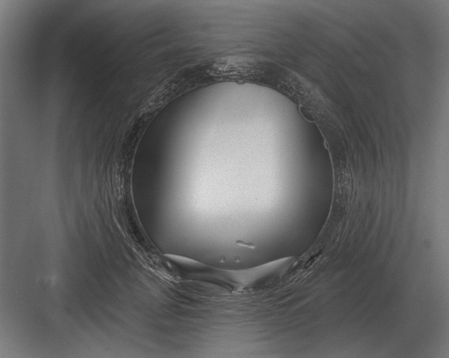 X0000082930751200702152147