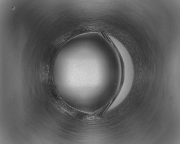 X0000082930752200702152147