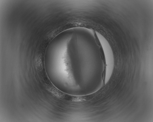 X0000082930754200702152147