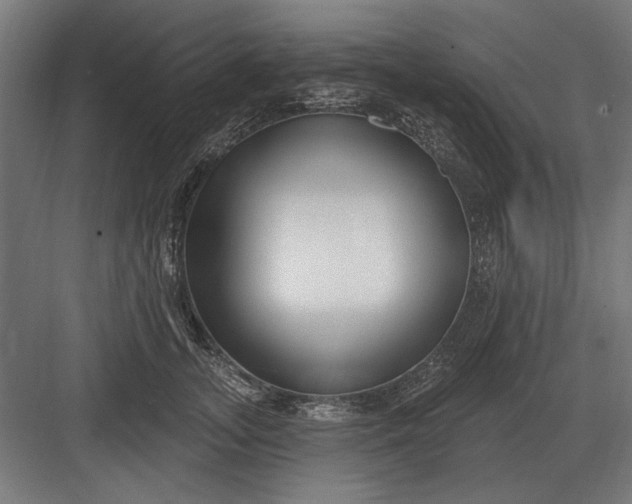 X0000082930755200702152147