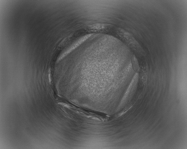 X0000082930758200702152147