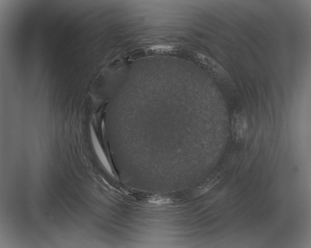 X0000082930760200702152147