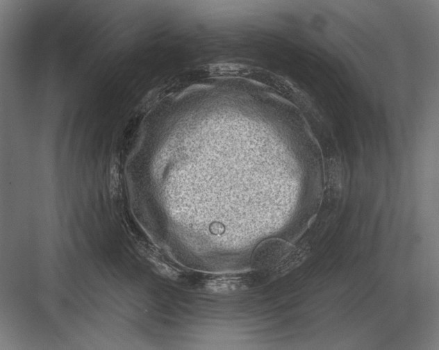 X0000082930761200702152147