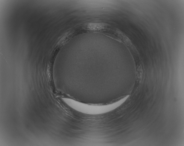 X0000082930762200702152147