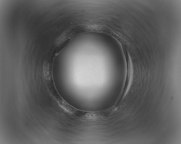 X0000082930764200702152147