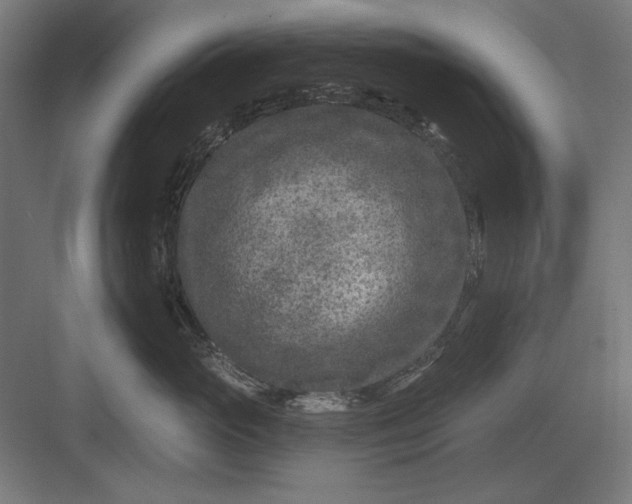 X0000082930765200702152147