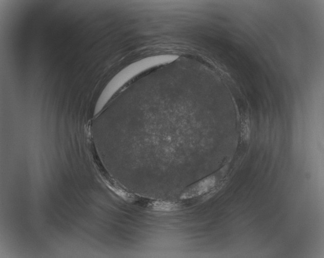 X0000082930766200702152147