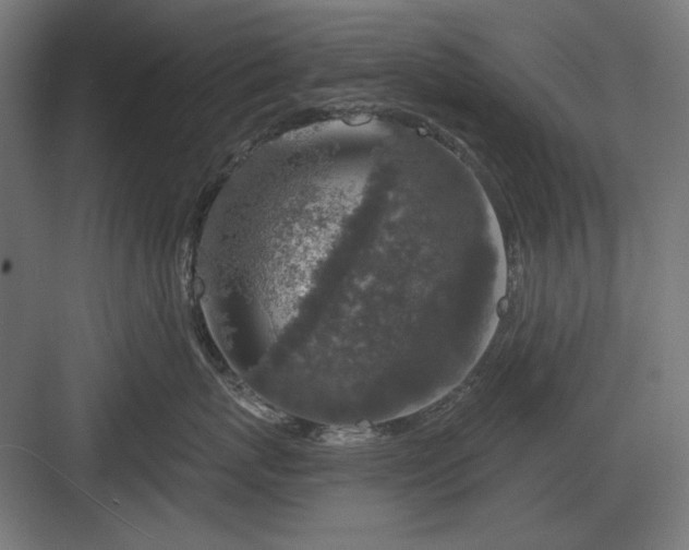 X0000082930767200702152147