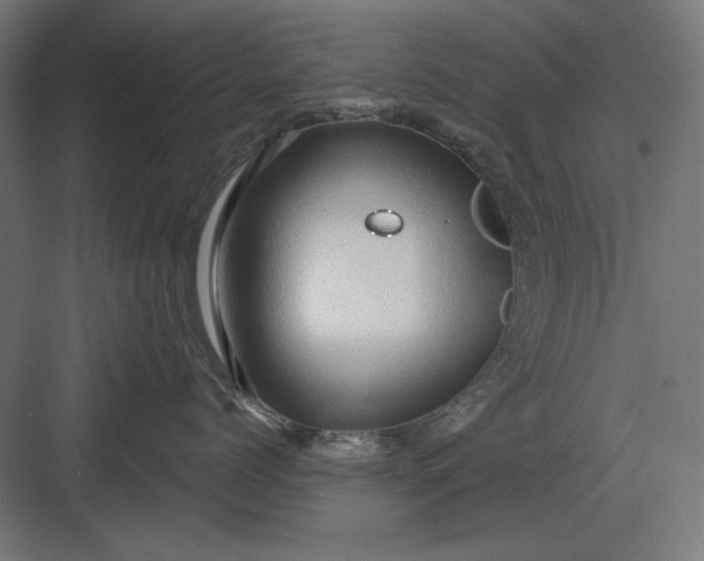 X0000082930768200702152147