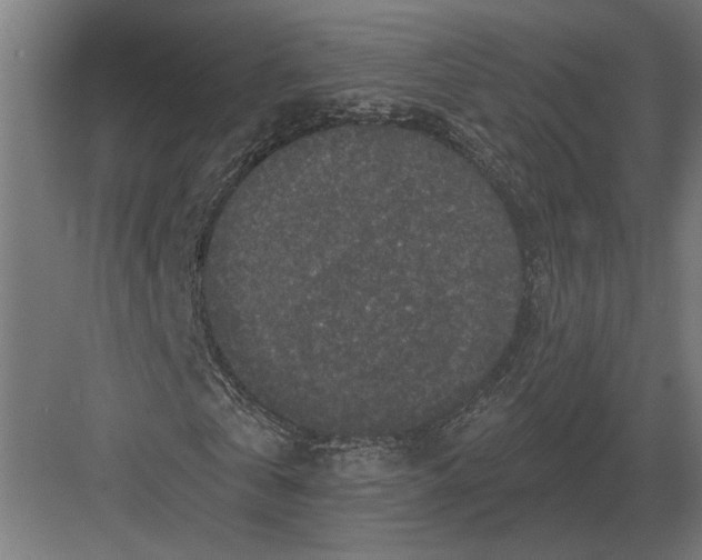 X0000082930769200702152146