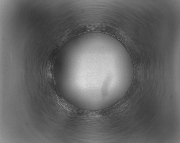 X0000082930770200702152146