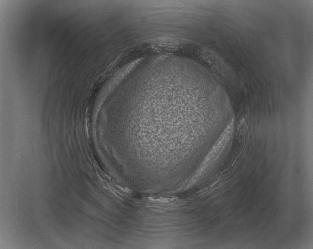 X0000082930772200702152146