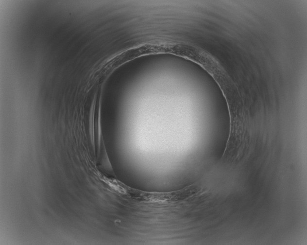 X0000082930773200702152146