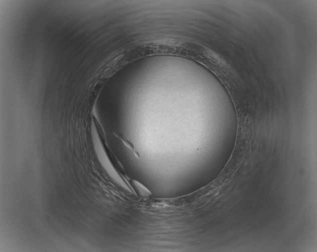 X0000082930774200702152146