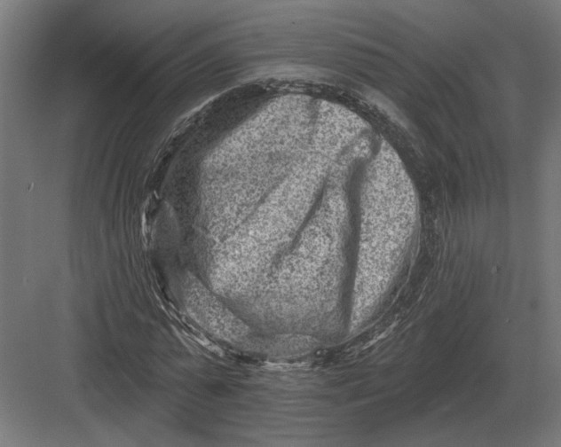 X0000082930775200702152146