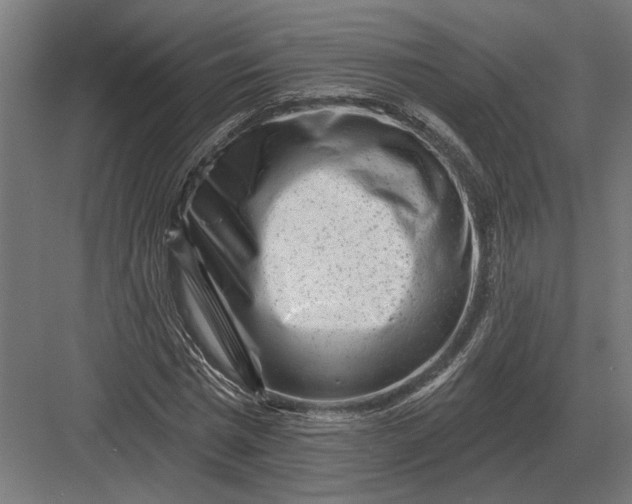 X0000082930777200702152146