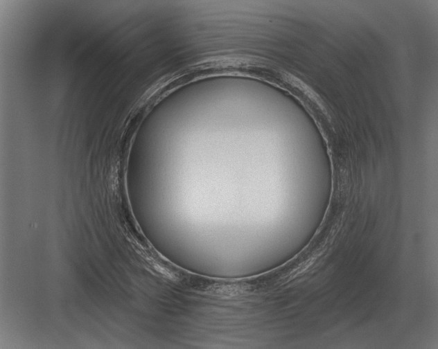 X0000082930778200702152146