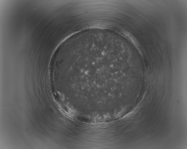 X0000082930779200702152146