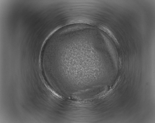 X0000082930780200702152146