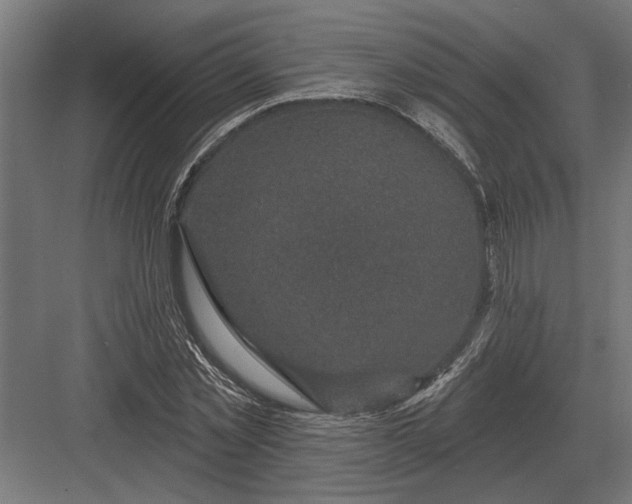 X0000082930781200702152146