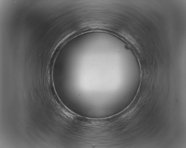 X0000082930782200702152146