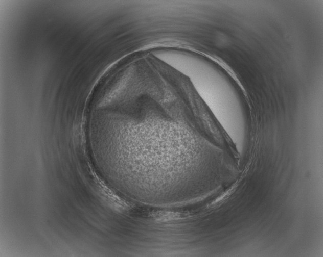 X0000082930783200702152146