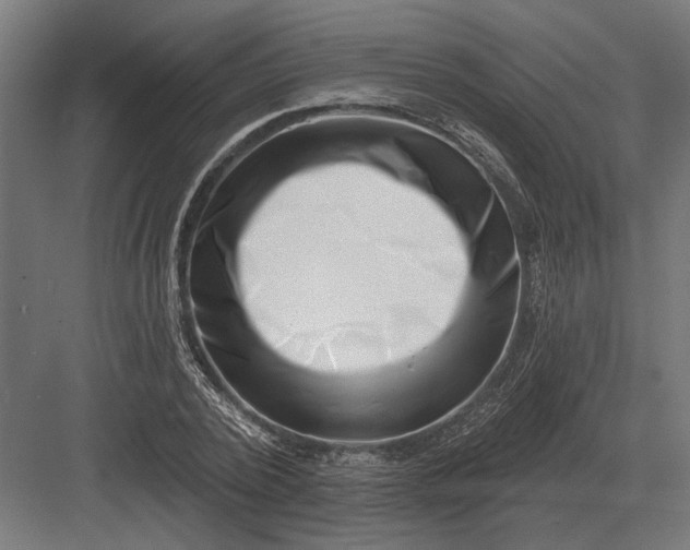 X0000082930784200702152146