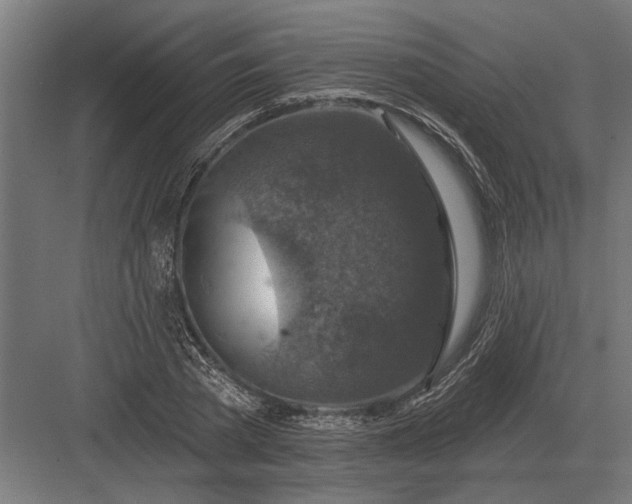 X0000082930785200702152146