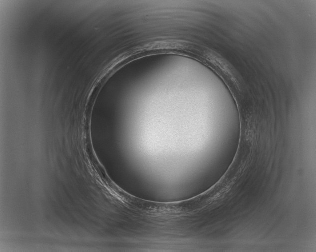 X0000082930786200702152146