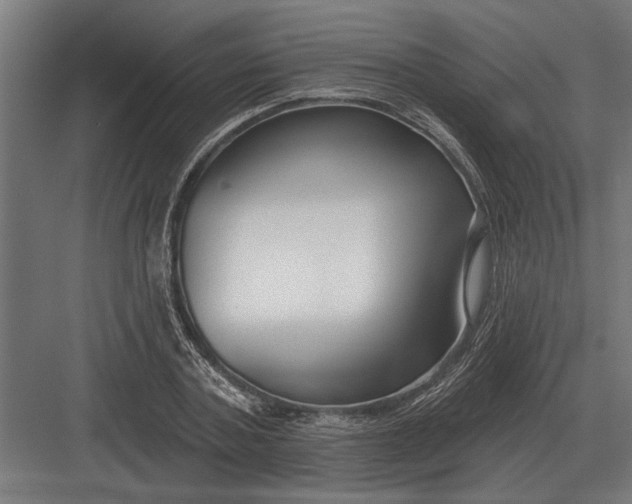 X0000082930787200702152146