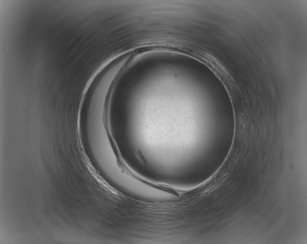 X0000082930788200702152146