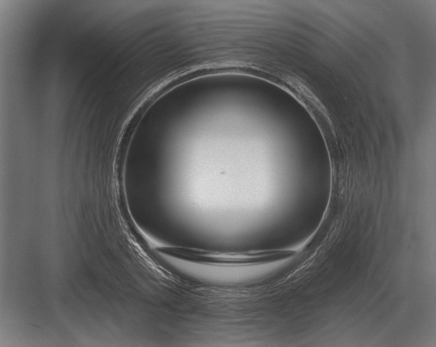 X0000082930789200702152146