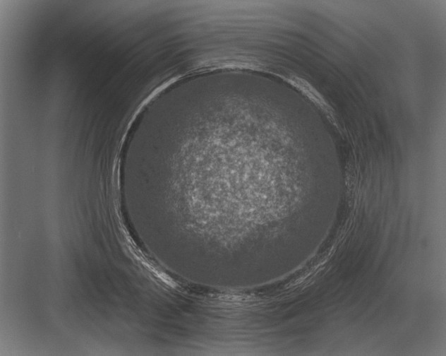 X0000082930790200702152146