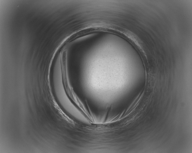 X0000082930791200702152146