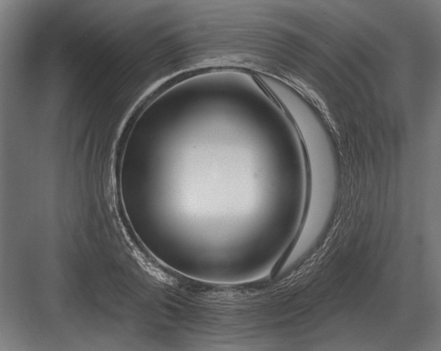 X0000082930792200702152146