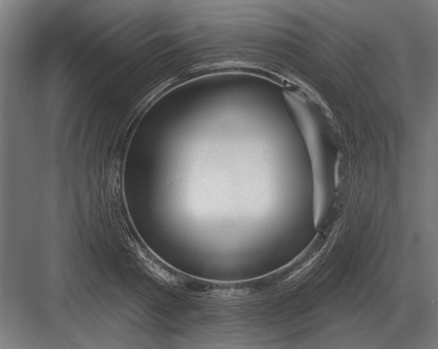 X0000082930793200702152146