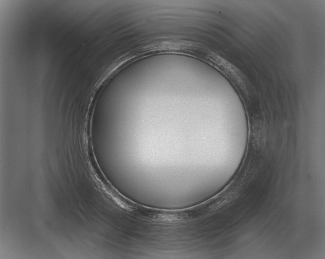 X0000082930794200702152146