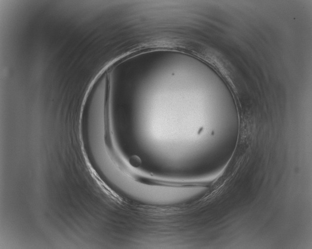 X0000082930795200702152146