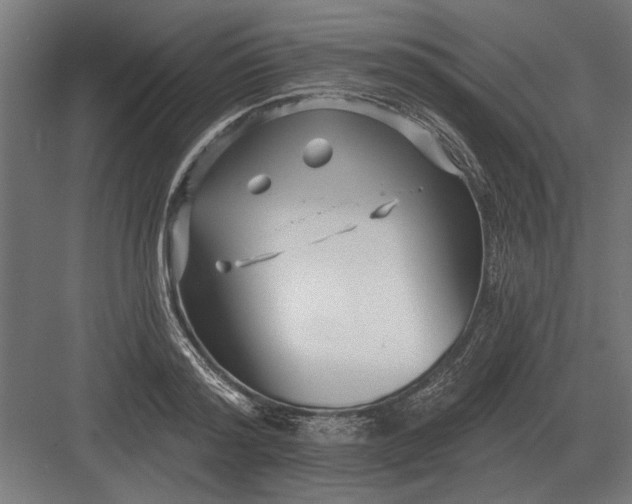 X0000082930796200702152146