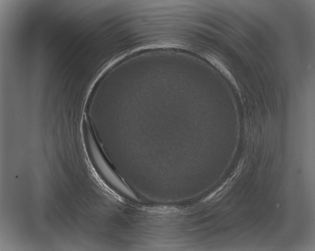 X0000082930797200702152146